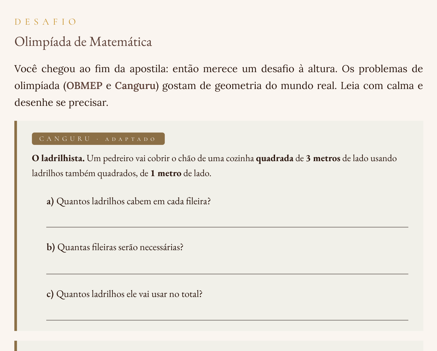 Desafio de olimpíada na apostila de geometria, o ladrilhista